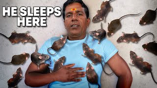 Inside Indias Temple of 20000 Dirty Rats [upl. by Nibram]