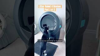 Litter Robot 4 Review after nearly 3 months of use with 2 cats Part1 [upl. by Stone234]