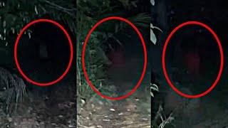 BUKIT ALTANTUYA  PONTIANAK MERAH Menjelma  Paranormal DZP Dauz  DARAH Menitik DARI ATAS POKOK [upl. by Irehs]