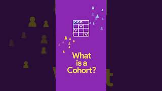 What is a Cohort Explained by Netmera [upl. by Aramot]