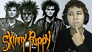 First Time Hearing Skinny Puppy  Worlock Reaction [upl. by Assirrak749]