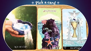 You NEED To Know This NOW✨👆👀🌙✨Pick a card⎜Timeless Reading [upl. by Annehcu638]