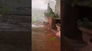 Hail Storm in Charnwood Canberra Australia  3 Jan 2022 [upl. by Latsyrcal174]