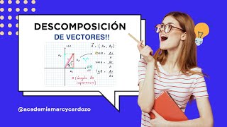 ¡Descubre Cómo Descomponer Vectores en los 4 Cuadrantes 🚀 FísicaFácil [upl. by Adas158]