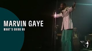 Marvin Gaye  Whats Going On Greatest Hits  Live In Amsterdam [upl. by Eirrac728]