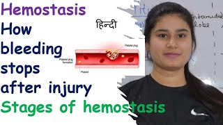 Hemostasis  Stages  Vasospasm  Clot Retraction amp Repair  Clotting of Blood  Breakdown of Clot [upl. by Yand]