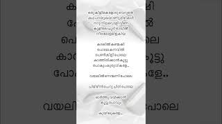 Kadalil kanmashipola🎧🎶❤️malayalamlyrical lyrics rics [upl. by Sinegold993]