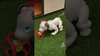 Where is the robot puppy Conrad Las Vegas at Resorts World [upl. by Phyl146]