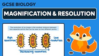 Magnification amp Resolution  GCSE Biology [upl. by Schweiker188]