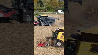 KUKURYDZA 🌽 W AKCJI WYŚCIG NA POLU  FENDT amp NEWHOLLAND fendt agriculture corn newholland [upl. by Buna]