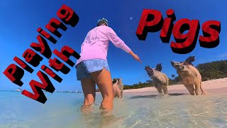 Dream 11  Dodging Pigs and Sharks in Staniel Cay [upl. by Mariano]