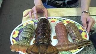 Four Types of Lobster Tails in the Lobster Gram Test Kitchen [upl. by Reid]