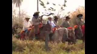 Boiada no Estradão  Reportagem Globo Rural Sobre a Tradição das Comitivas do MS [upl. by Lobell]