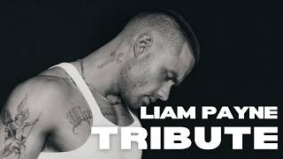 teardrops  Liam Payne tribute mashup with One Direction [upl. by Lednor120]