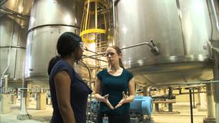 What Does a Chemical Engineer Do  Careers in Science and Engineering [upl. by Kelsey]