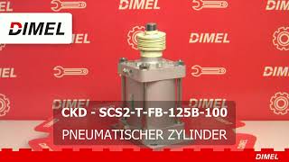 CKD SCS2TFB125B100 AB LAGER PNEUMATISCHER ZYLINDER [upl. by Eicyal]