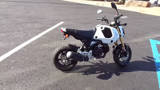 2024 HONDA GROM 125 ABS [upl. by Ytsur]