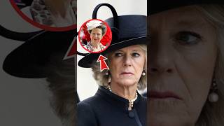 Princess Anne Takes Down Camilla Over Broken NonCompete Promise shorts catherine kate [upl. by Tarttan]