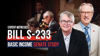 Basic Income Senate Study Bill S233  Art Eggleton [upl. by Eirollam]