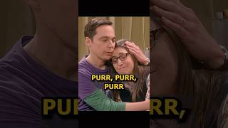 Sheldon’s way of helping Amy reduce pressure thebigbangtheoryedit shorts tvserial [upl. by Strephon]