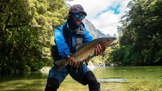 Fly fishing mission New Zealand [upl. by Onivag]