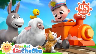 Animales en el Chu Chu Tren  Sonidos de Animales  LiaChaCha en Español  Canciones Infantiles [upl. by Serra]