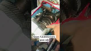 Gear 12345rivers ඉගන ගමු viralvideo automobile trending foryou srilanka automobile how [upl. by Yltnerb]