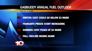 Gasbuddys Annual Fuel Outlook predicts lower prices at the gas pump in 2024 [upl. by Aleibarg]