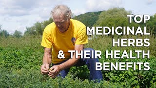 Top Medicinal Herbs Medicinal Uses and Health Benefits [upl. by Dnaltiak]