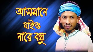 আসমানে যাইওনা বন্ধু ধরতে পারবে না  asmane jaio na bondhu  শিমুল হাসান  shimul hasan new song [upl. by Sedgewinn]