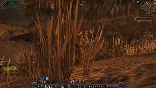 Quest 295 Justice Dispensed WoW Horde Tauren Druid [upl. by Ambrosane377]