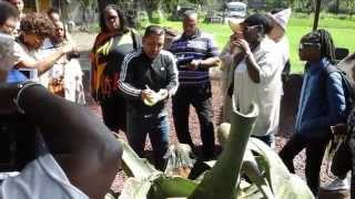 Day 2 African Heritage amp Ancient Temples in Mexico Tour with Runoko Rashidi [upl. by Karame]