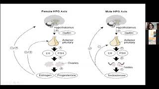 Hypogonadotropic Hypogonadism by Dr Urooj Lal Rehman [upl. by Waldman]