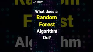 What does a Random Forest Algorithm do  Random Forest explained  Must watch [upl. by Wan]