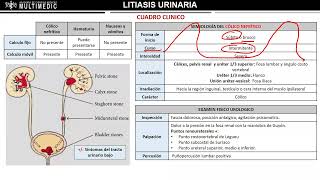 Nefrolitiasis y Trauma renal l Urología [upl. by Dimitry]