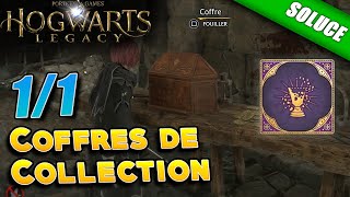 Caverne aux Horglups  Coffres de collection Emplacement amp Solution  Hogwarts Legacy [upl. by Karyn273]