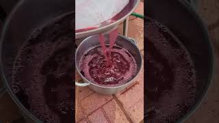 Pressing Graciano  post primary fermentation [upl. by Grati]