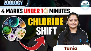 Understand Chloride Shift in Simple Terms  Get 4 Merks in NEET 2025 InfinityLearnNEET [upl. by Ridglee]