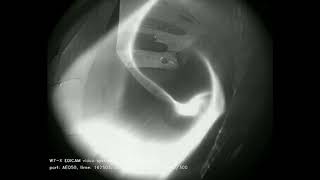 Wendelstein 7X plasma video part 2 [upl. by Anastas]