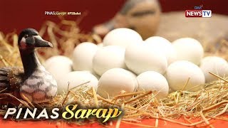 Pinas Sarap Ibat ibang dishes na pinasarap ng balut [upl. by Alraep]