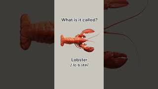 Can you name these seafood learnenglish dailyenglish english vocabulary seafood learn [upl. by Harms]