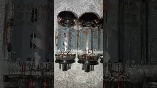 1979 Fender Twin Reverb Restoration P57 USA702512AX7A Toshiba12AT7 amp Sovtek58816L6WGC Tubes [upl. by Arual]