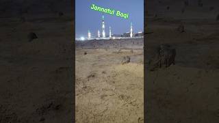 Jannatul Baqi madinah status✨AlBaqi Cemetery🪄 madina [upl. by Neellek]