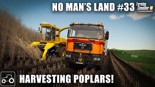 Harvesting Poplars amp Cultivating Fields  No Mans Land 33 Farming Simulator 19 Timelapse [upl. by Rfinnej]