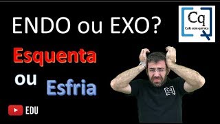 Termoquimica Reação endo ou exo [upl. by Remliw42]