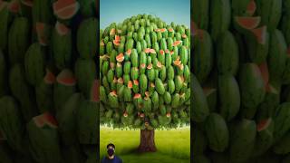 How to Grow Watermelon to get more Fruit  S Fruit and Natureshortvideoshortsfeed shortvideoviral [upl. by Taveda97]