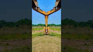 JCB TRENDING VIDEO 🔥😱🔥 jcb tractor jcbvideo [upl. by Giesser715]