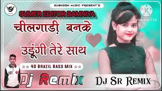 new songचीलगाड़ी बनके उडुंगी तेरे साथ chilgadi ban ke udungi tere shat song full rimex marwadi music [upl. by Inan529]