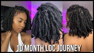 10 MONTH LOC UPDATE  TWO STRAND TWIST STARTER LOCS [upl. by Leveroni348]