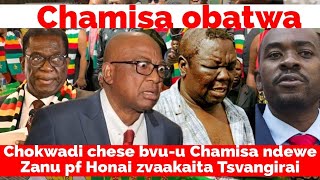 WATCH LIVE 🇿🇼 Honai Chamisa zvaakaita Tsvangirai Chokwadi chese bvuu pachena 🎥 [upl. by Sheri622]